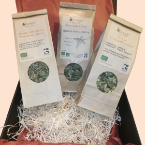 Coffret trio de plantes