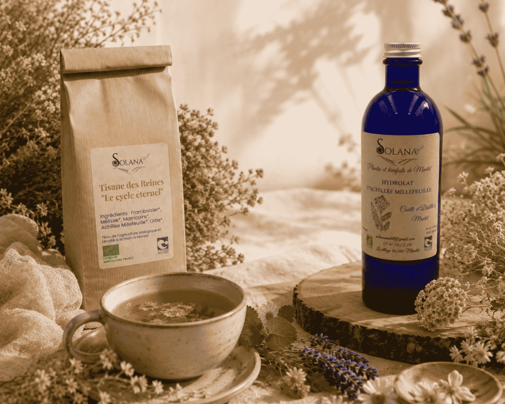 Hydrolat et tisane bio pour le cycle féminin (ménopause, menstruations, douleurs)