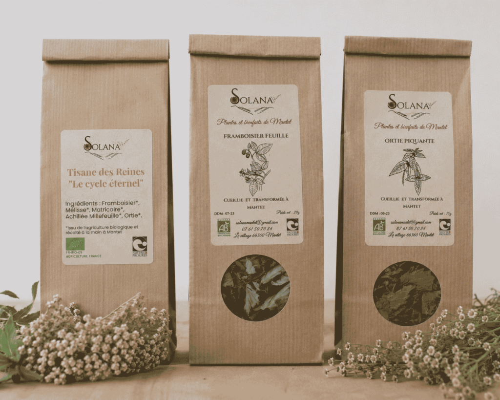 Infusion cycle menstruel : framboisier, reine des près, achillée millefeuille, ortie piquante. Tisane cycle féminin